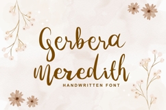 Gerbera Meredith Product Image 1
