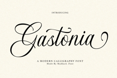 Gastonia Script Product Image 1