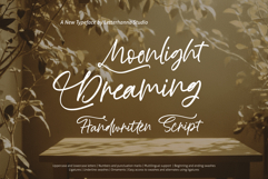 Moonlight Dreaming Handwritten Script Font Product Image 1