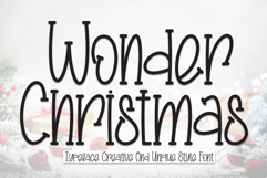 Wonder Christmas Product Image 1