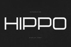 Hippo Modern Futuristic Display Font Product Image 1