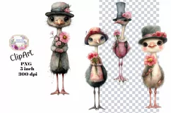Birds, Ostrich, Ephemera, PNG, watercolor, Clipart Product Image 1