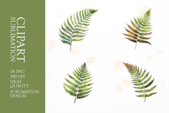Watercolor green leave clipart sublimation png Product Image 1