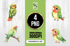 Cute Parrot Watercolor Clipart Sublimation PNG Product Image 1