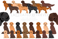 Flat Coated Retriever clipart Product Image 1