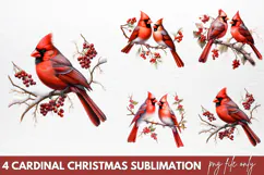 Christmas Cardinal Watercolor Clipart PNG Product Image 1