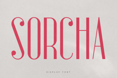 Sorcha Elegant Serif Modern Narrow Display Product Image 1