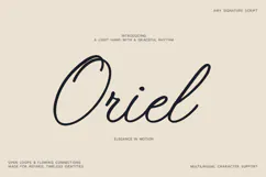Oriel Airy Signature Script Font Product Image 1