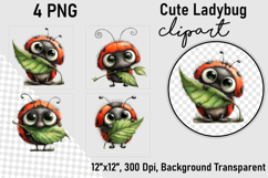 Cute Ladybug Clipart PNG, Clipart PNG Product Image 1