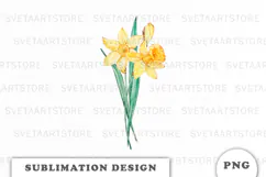 Watercolor Daffodils Flowers Bouquet png Product Image 1