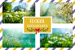 Chamomile Background, Floral Background Designs Product Image 1