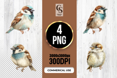 Cute Sparrow Bird Watercolor Clipart Sublimation PNG Product Image 1