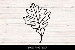 Hand Drawn Autumn Leaf SVG Product Image 1