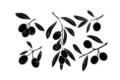 Set of olive branch silhouettes. Product Image 1
