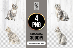 Silver Tabby Cat Clipart Sublimation PNG Product Image 1