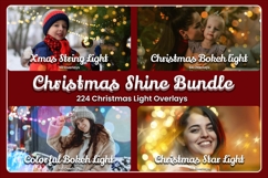 224 Christmas Shine Bundles Product Image 1