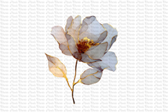 23 Dark and Gold Flowers PNG Product Image 2