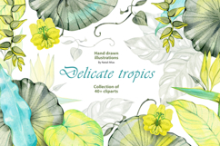 Delicate Tropics Watercolor Clipart Collection Product Image 1