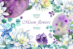 Moon Flowers. Watercolor Clipart Collection Product Image 1