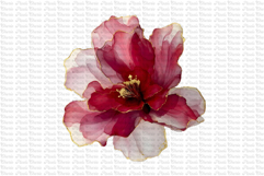 12 Burgundy Red and Gold Flowers PNG Product Image 8
