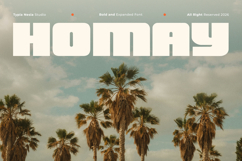 Homay - Bold Modern Expanded Retro Font Product Image 1
