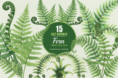 15 Bundle Watercolor Fern Leaf Botanical Aesthetic Tropical Product Image 1