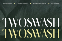 Twoswash - Beauty Elegant Ligature Serif Product Image 1
