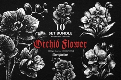 10 Bundle Dark Art Orchid Flower Tropical Floral Botanical Product Image 1