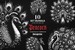 10 Bundle Dark Art Peacock Bird Beautiful Poultry Tattoo Product Image 1