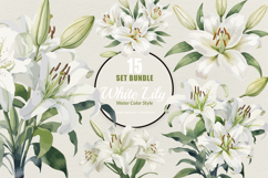 15 Bundle Watercolor White Lily Flower Wedding Minimalist Product Image 1