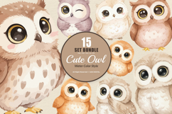 15 Bundle Watercolor Cute Owl Bird Animal Flying Smart Kids Product Image 1