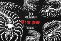 10 Bundle Dark Art Centipede Insects Gothic Skull Horror Product Image 1