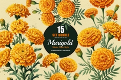 15 Bundle Watercolor Marigold Rose Flower Floral Botanical Product Image 1