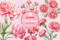 15 Bundle Watercolor Carnations Flower Botanical Bouquet Product Image 1