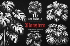 10 Bundle Dark Art Monstera Plant Leaf Aesthetic Decor Product Image 1