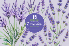 15 Bundle Watercolor Lavender Flower Purple Rustic Vintage Product Image 1