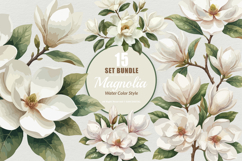 15 Bundle Watercolor Magnolia Floral White Flower Botanical Product Image 1