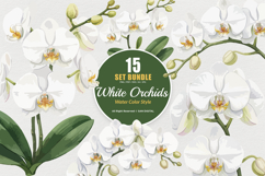 15 Bundle Watercolor Orchid Flower Blossom Botanical Product Image 1