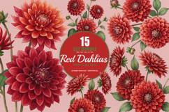 15 Bundle Watercolor Red Dahlias Flower Blossom Bouquet Product Image 1