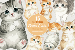 15 Bundle Watercolor Baby Cats Kitten Fluffy Pet Fat Funny Product Image 1