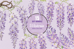 15 Bundle Watercolor Wisteria Flower Romantic Japanese Product Image 1