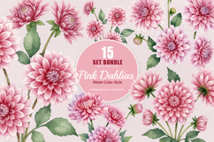 15 Bundle Watercolor Pink Dahlias Flower Soft Floral Decor Product Image 1