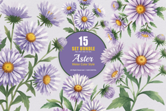15 Bundle Watercolor Aster Flower Blossom Floral Bouquet Product Image 1