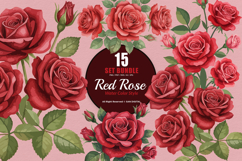 15 Bundle Watercolor Red Rose Romantic Floral Flower Elegant Product Image 1