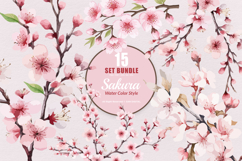 15 Bundle Watercolor Sakura Flower Cherry Blossom Japanese Product Image 1