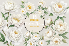 15 Bundle Watercolor White Peony Flower Ivory Wedding Product Image 1