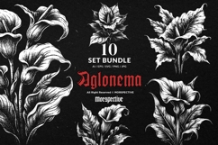 10 Bundle Dark Art Aglonema Botanical Flower Floral Leaf Product Image 1