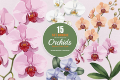 15 Bundle Watercolor Orchids Flower Tropical Exotic Blossom Product Image 1