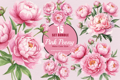 15 Bundle Watercolor Pink Peony Flower Blush Romantic Product Image 1