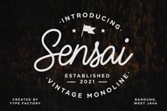 Sensai Vintage Monoline Script Product Image 1